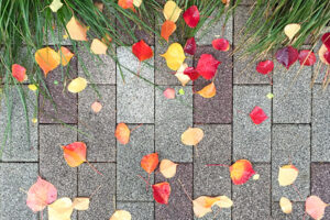 秋の季節ブレンド ルスカ(シティロースト)を発売しました