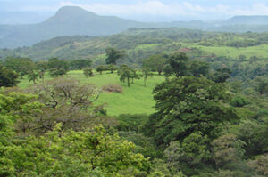 コスタリカ ロス・クレストネス エル・セロ(シティロースト)を発売のお知らせ