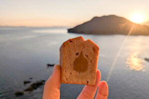 2026年 新年のご挨拶